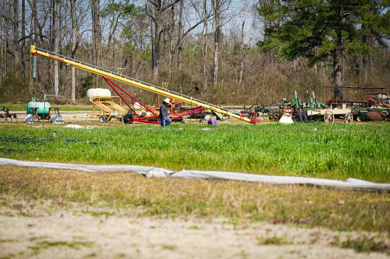 Modern Farming in Action: Where Tradition Meets Technology
